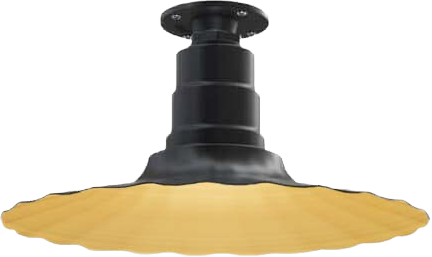 Eagle Rock Color Matte Black Interior Color Brass with a Flush Mount